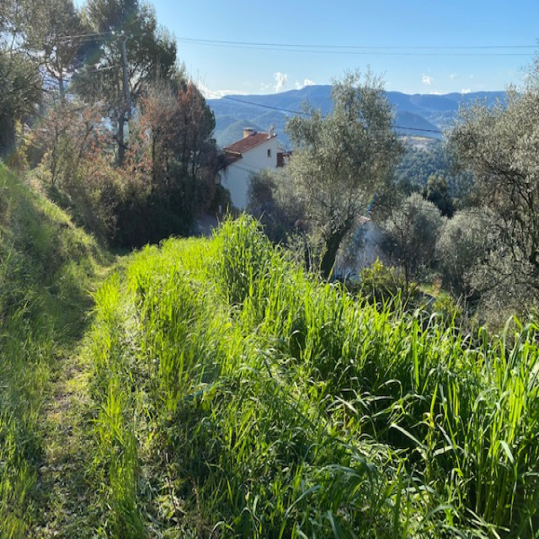 Offres de vente Terrain Contes 06390